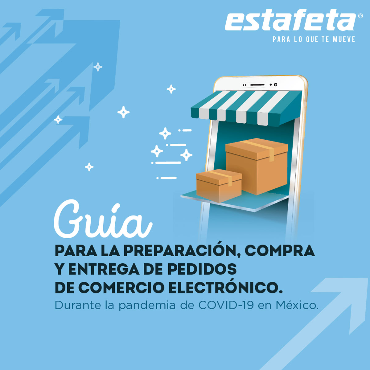 Guía y preparación de pedidos y entregas