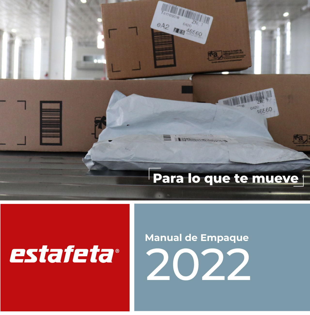 Manual de empaque Estafeta 2022