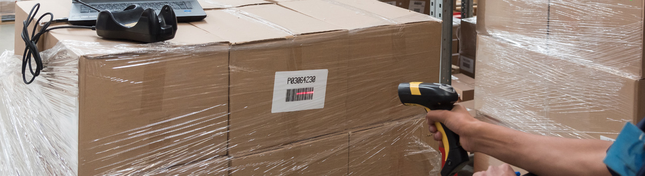 Estafeta | Cotizar un envío