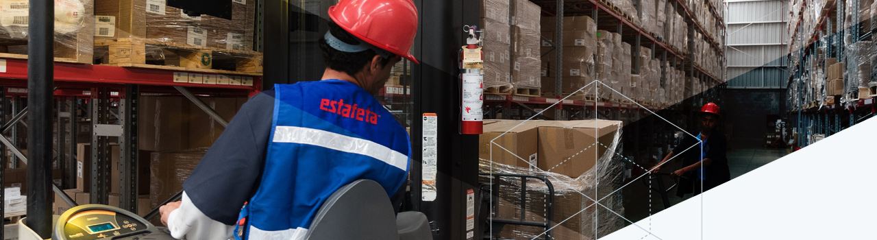 Estafeta | LTL Internacional