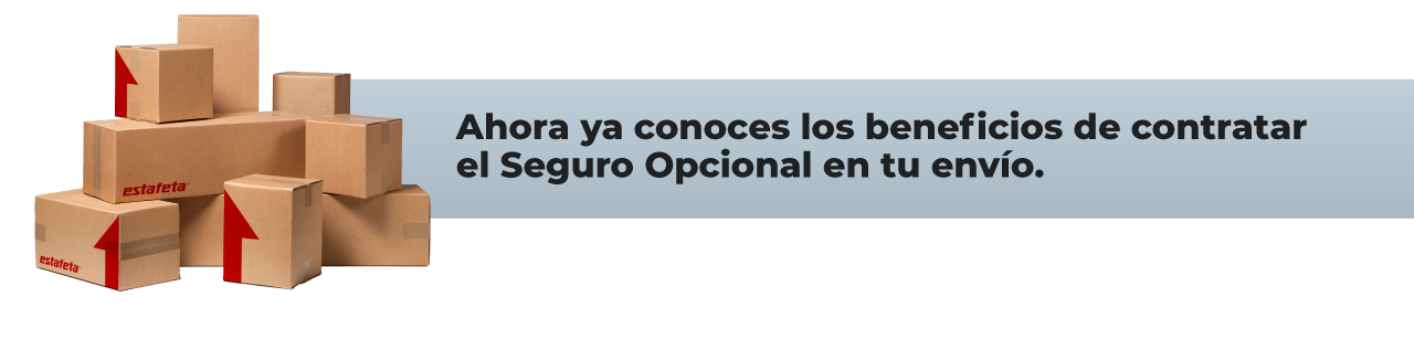 Seguro Opcional